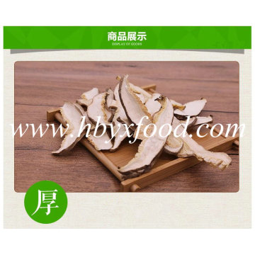 Fatia saudável orgânica do cogumelo de Shiitake de Hubei